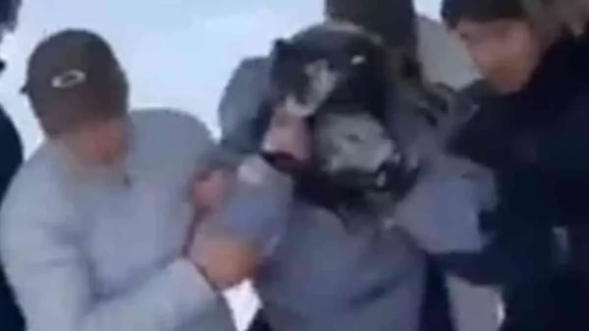 Leoparla selfie çekmek isteyen turist, ölümden döndü