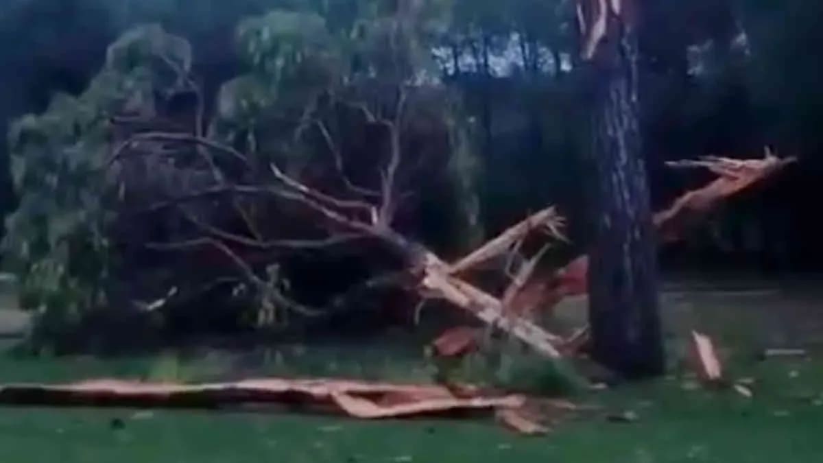 Antalya Belek’te golf sahasına düşen yıldırım, ağacı parçalara ayırdı