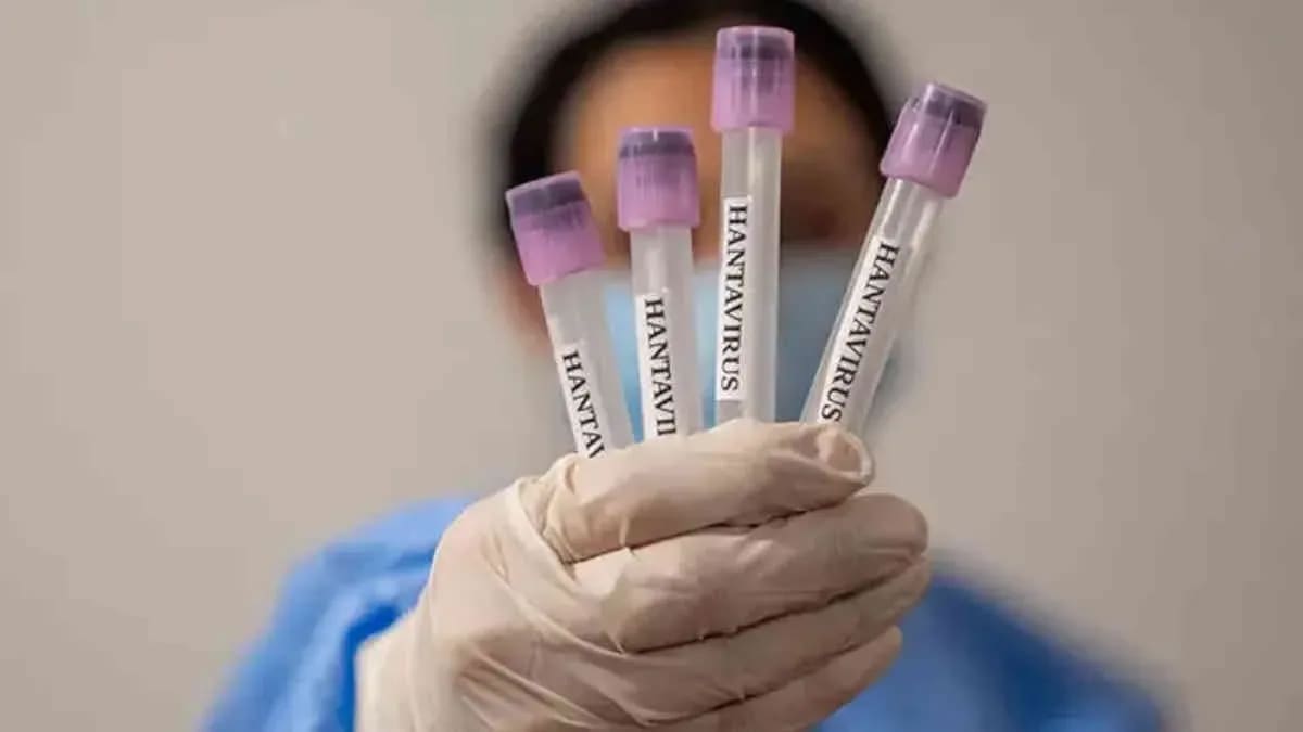 Dünya Sağlık Örgütü, gemideki 5 vakanın hantavirüs olduğunu teyit etti