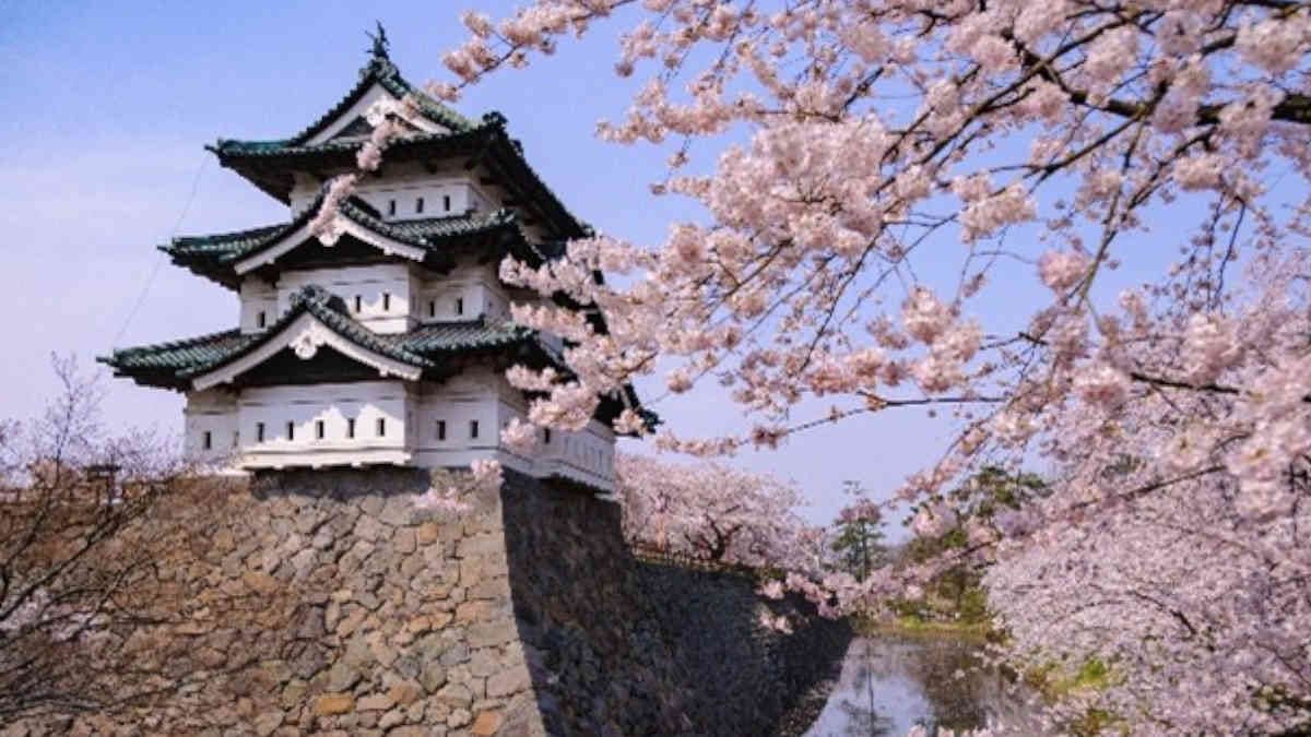 Türk turistlerin yeni gözdesi Japonya: 2025’te 107 bin Türk gitti