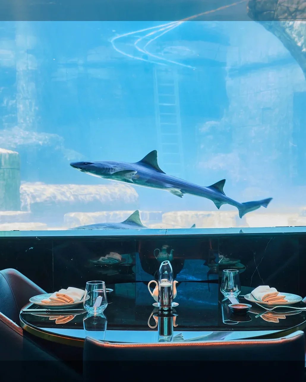 Nemo, deniz altı dünyasından ilham alan atmosferiyle Tersane İstanbul’da