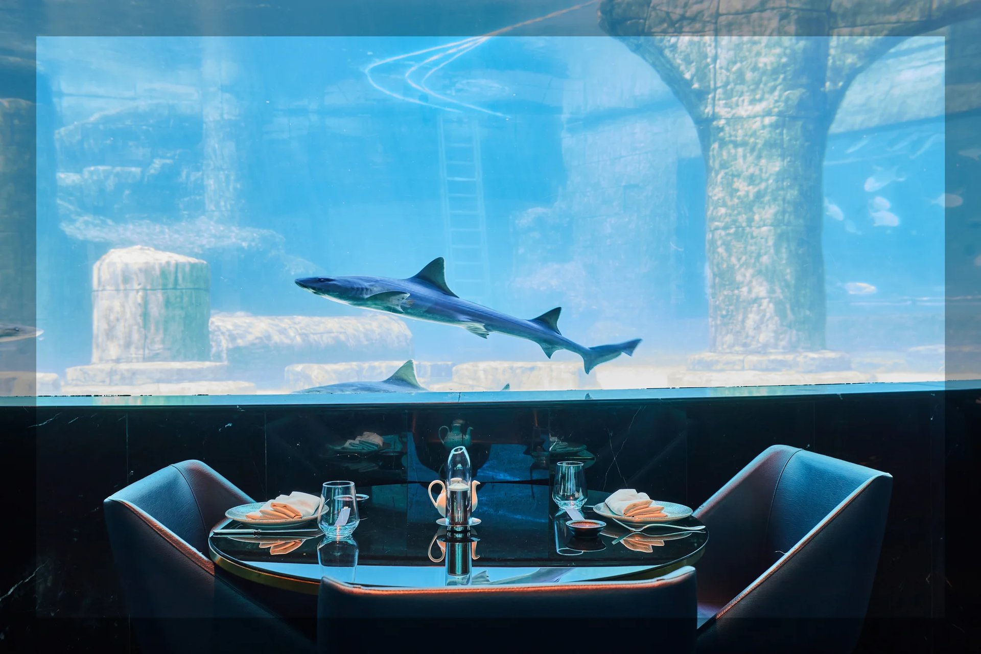 Nemo, deniz altı dünyasından ilham alan atmosferiyle Tersane İstanbul’da