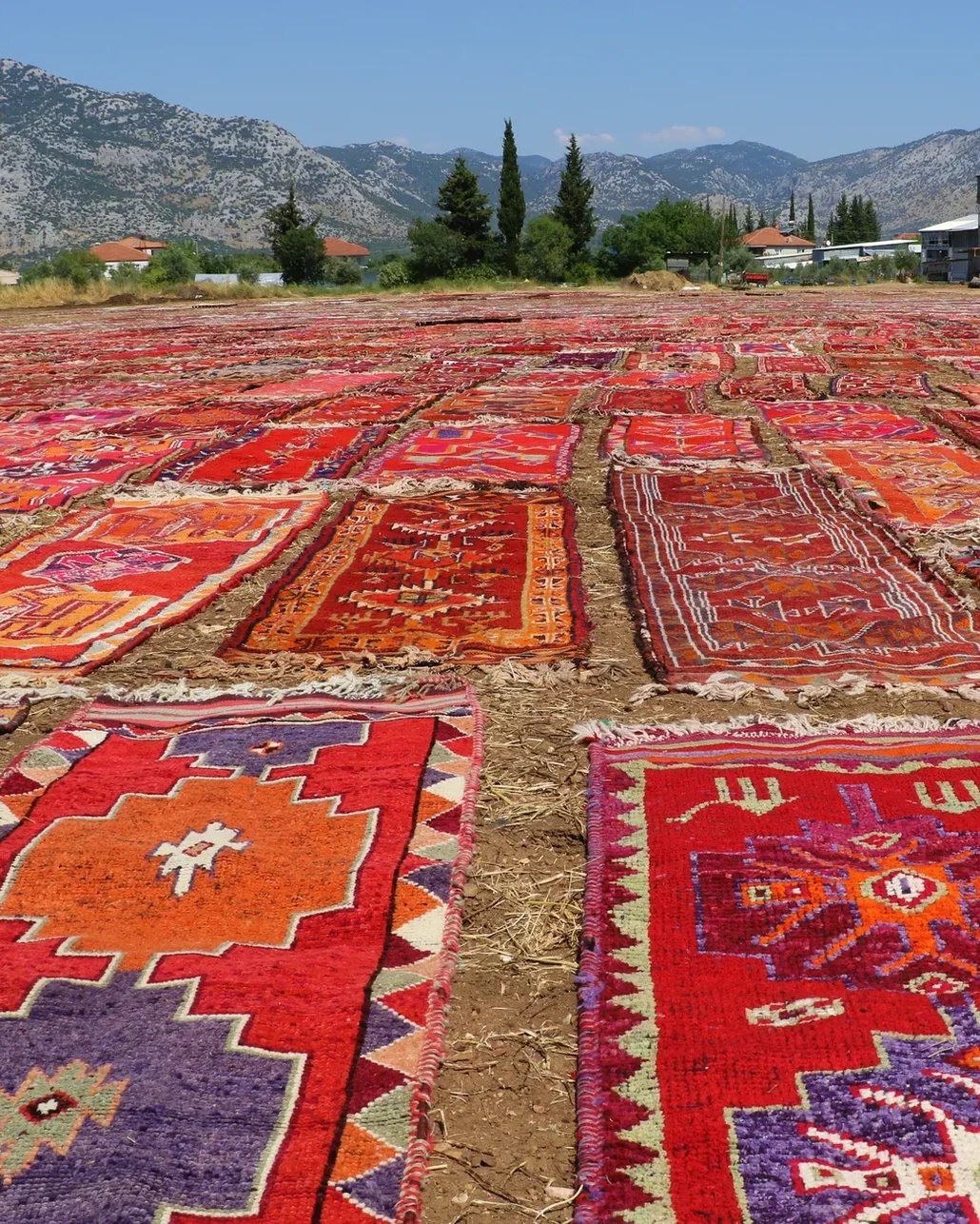 Turistlerin gözlerine inanamadığı o manzara Antalya’nın halı tarlaları