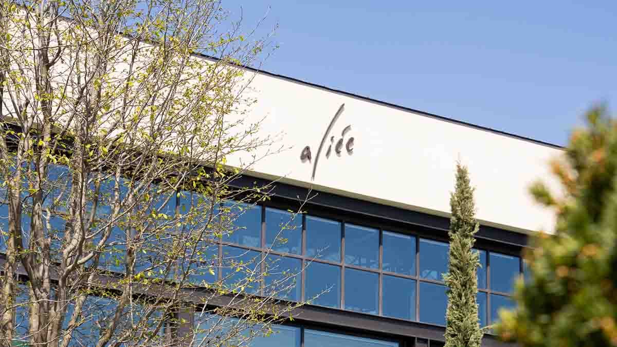 Aliée İstanbul’da bahar, sanat döngüsüyle başladı