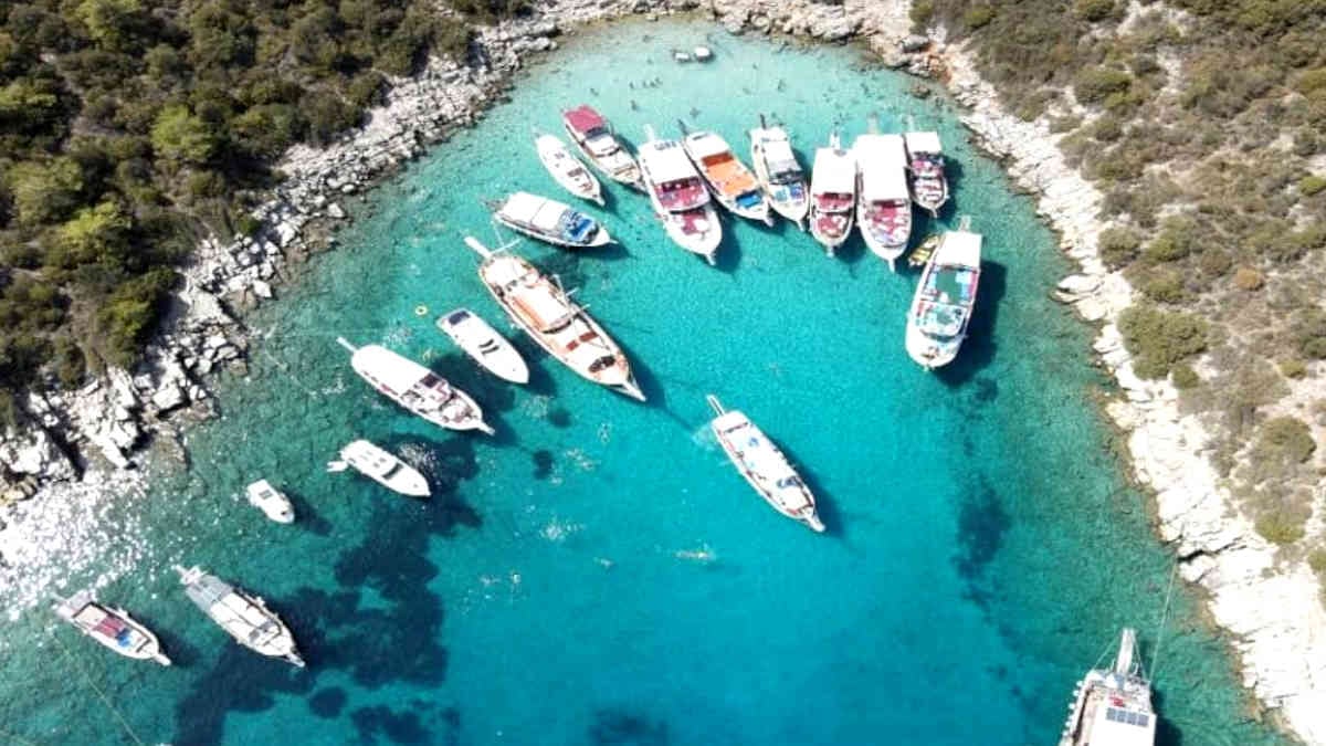 Bodrum koyları, istilacı yat türü tehlikesi altında 