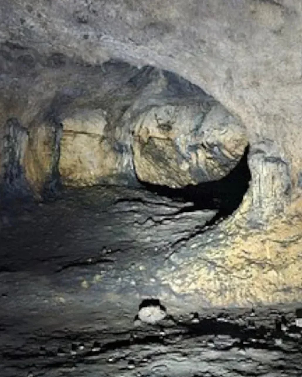 İngiliz turistler, II. Dünya Savaşı’ndan kalma cephanelik buldu