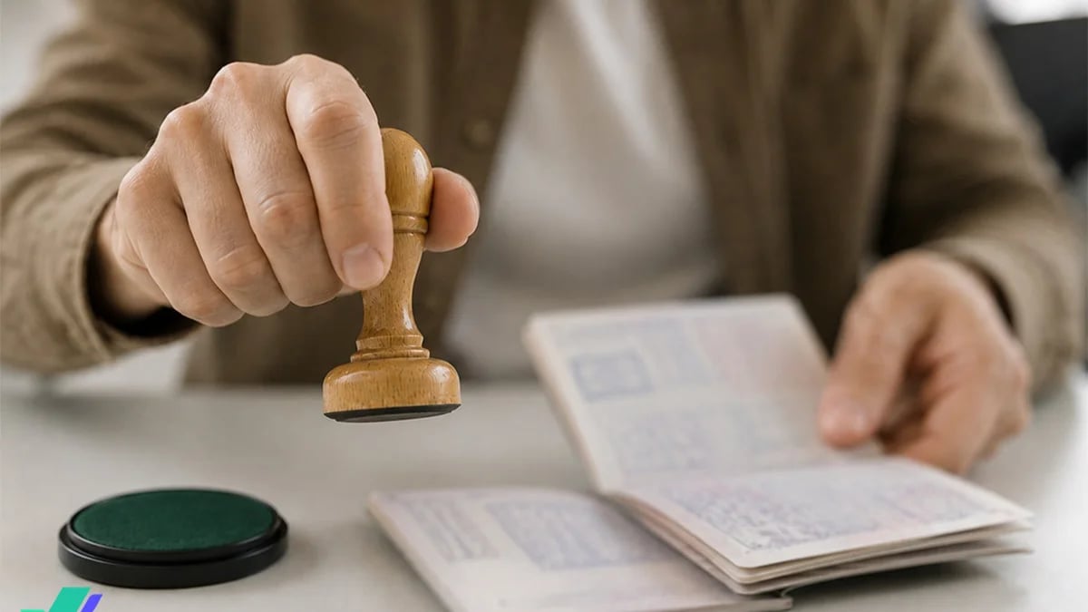 Vize randevusu şikayetleri bir hafta içinde %291 arttı