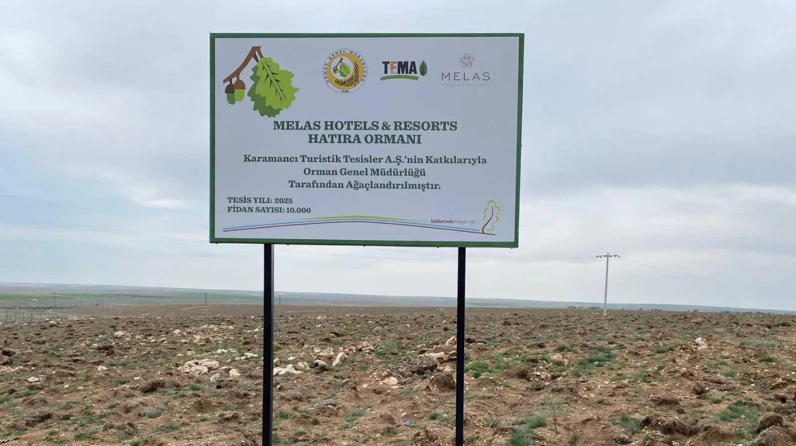 Melas Hotels & Resorts bu alanı 10 bin fidanla ormana çevirecek